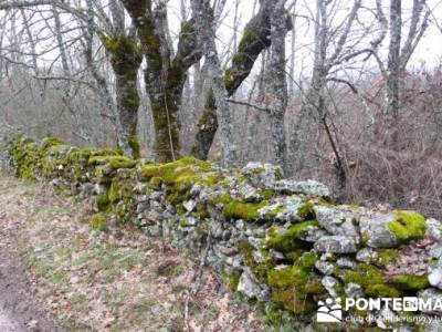 Somosierra - Camino a Montejo;gente senderista;clubs en madrid